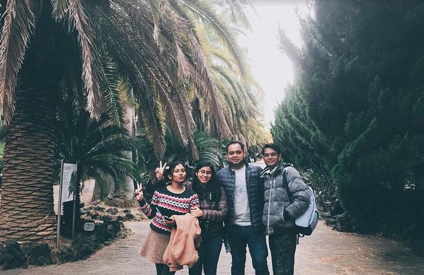  West Jeju Full Day Tour Package By Taxi