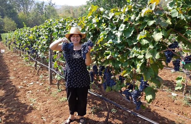Wine tasting and magical tour from Kotor, Budva, Tivat (Lovcen,Skadar lake)