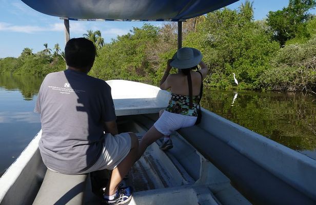 AfroMexican Village Lagoon Boat Ride Turtle Release Crocs Farm