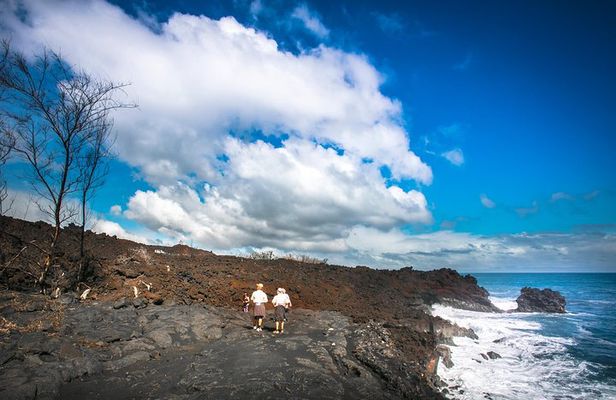 Private VAN Tour Hilo