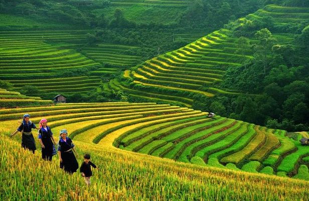 3-Night Sapa Trek and Homestay with Round Trip Transfer from Hanoi