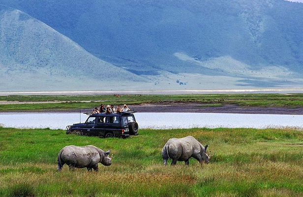 1 Day Joined Group Safari in Ngorongoro Crater National Park