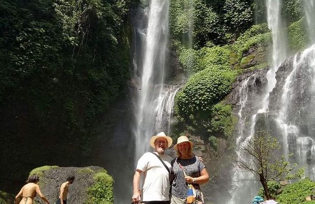 Jatiluwih rice terraces,ulundanu and sekumpul waterfall trips