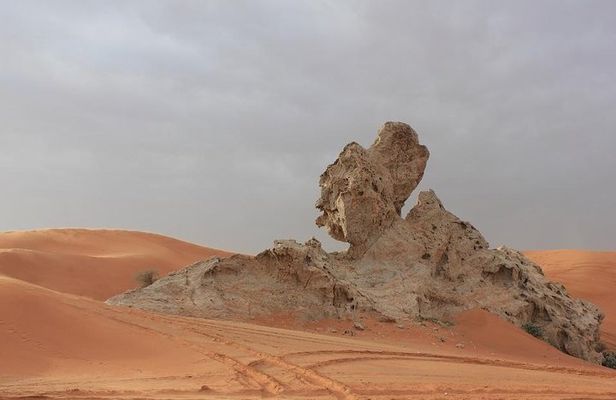 Camel Rock Desert safari Dubai with bbq Dinner camel ride sand boarding & more