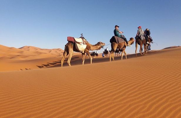 Marrakech Sahara And Gorges 4 Days And 3nights..
