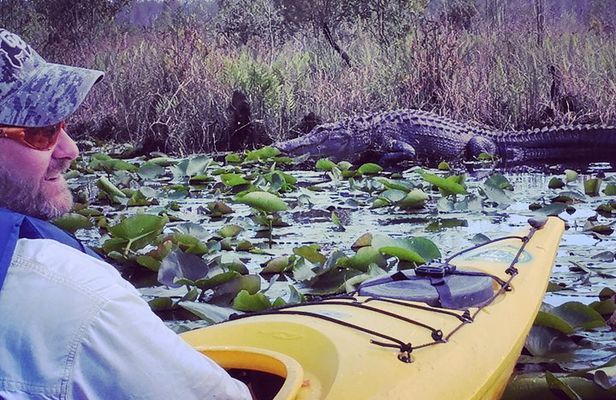 Orlando Alligator Experience