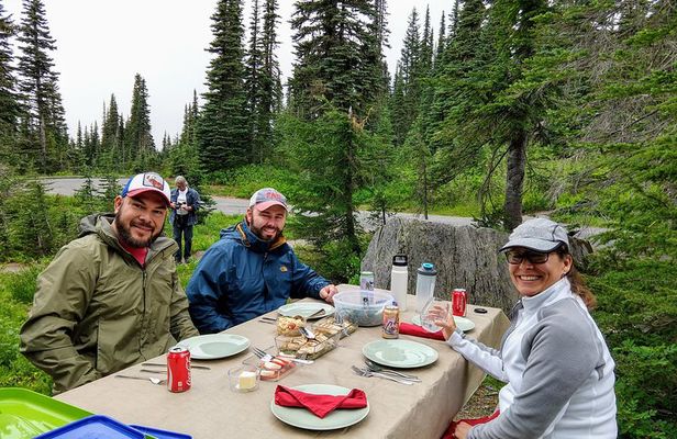 Mount Rainier National Park Experience with Lunch