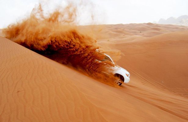 Dubai Morning Safari