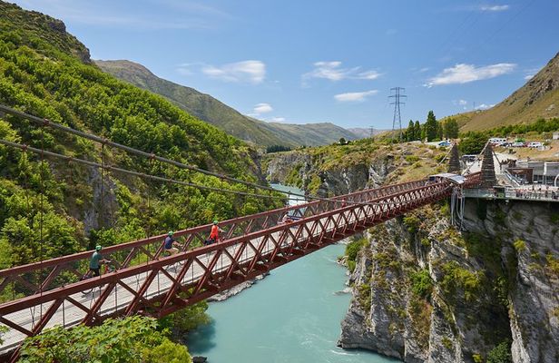 Queenstown Guided E-bike Wine Tour 