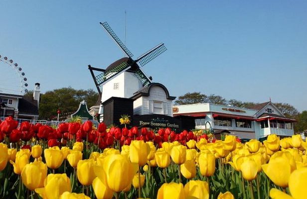 Private 4 days Nami Island&Petite France&Seoul&Everland tour