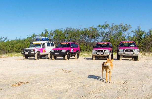 3 Day PINK4WD Tagalong Tour - K'gari/Fraser Island