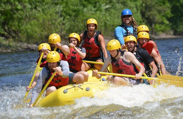 Half-Day White Water Rafting on the Rouge River