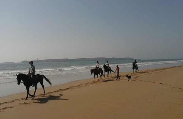 1 hour horse ride on the beach of essaouira