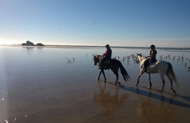 1 day horseback ride with lunch