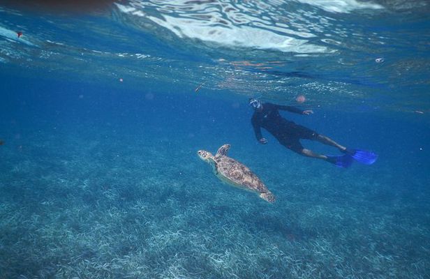 All inclusive Snorkeling at Hol Chan