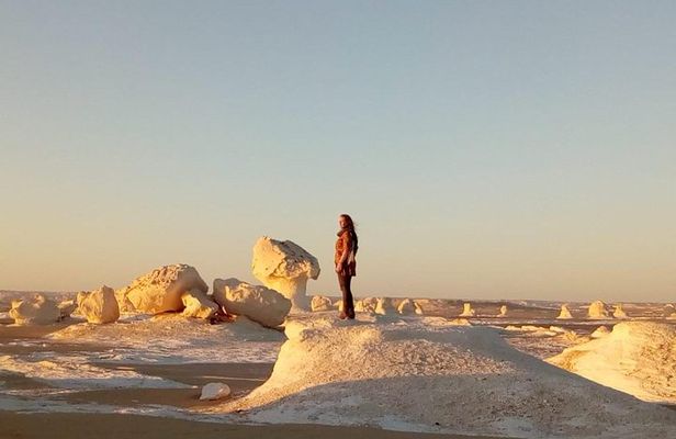 White desert and Bahariya oasis 2 days with camping experience