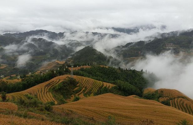  Guilin: Day tour of Longji Rice Terraces and Yangshuo