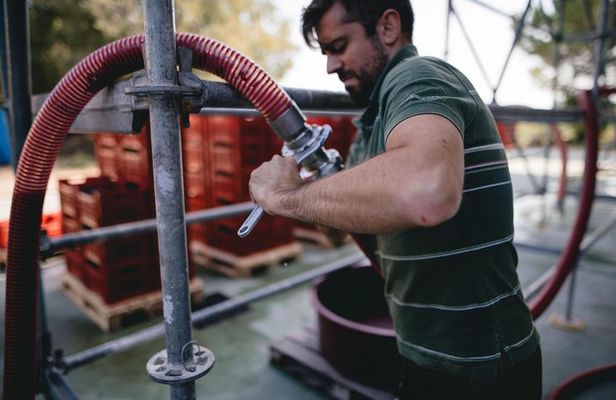 Lake Garda wine tasting: Pinot Noir & tortellini in a Medieval Village