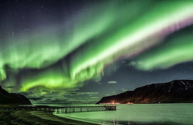 #1 Northern Lights Tour In Iceland from Reykjavik with PRO photos