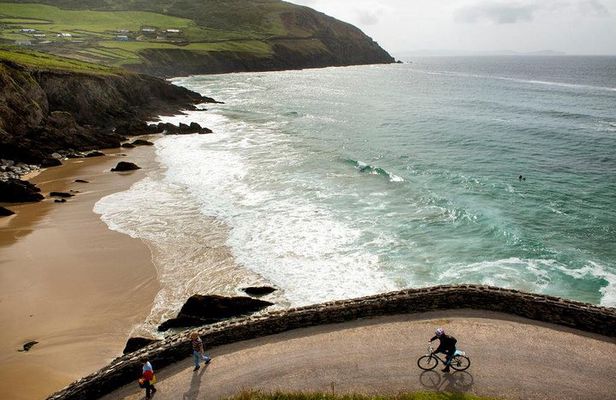 Dingle Peninsula Day Tour from Limerick: Including The Wild Altanic Way