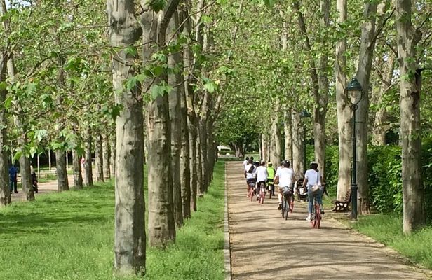 FAT TIRE E-BIKE GREAT TOUR - river, parks & panoramic views tour