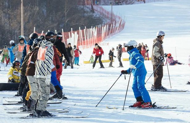 [Private Tour] Nami Island & Ski (Ski Lesson, Equip & Clothing Included)