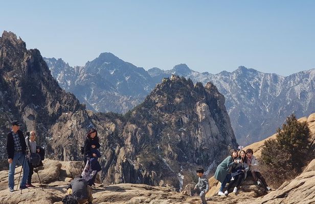 [Premium Private Tour] Mt Seorak & East Sea or Nami island from Seoul