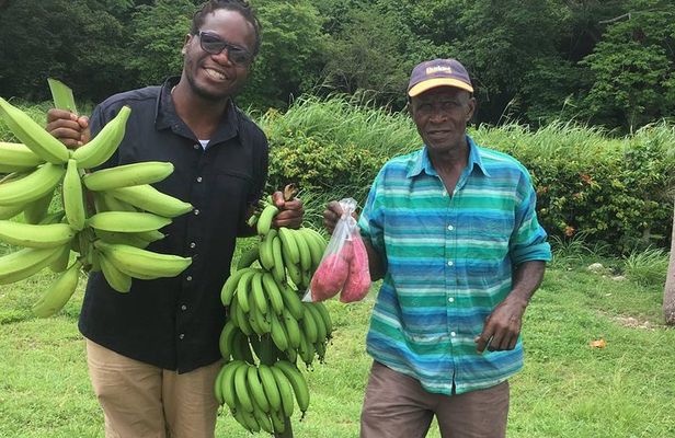 Jamaica Foodie and Cultural Experience in Ocho Rios