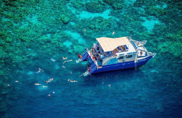 Kona’s Best Morning Snorkel: Captain Cook & Kealakekua Bay