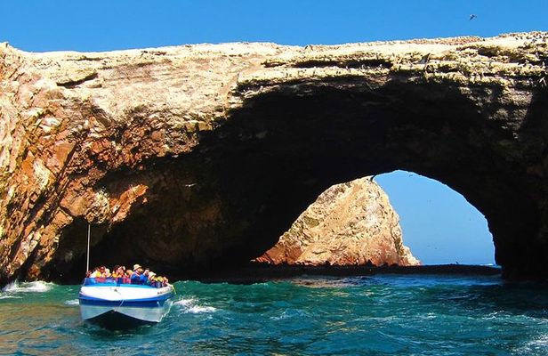 Ballestas Islands + Huacachina Tour From Lima (Private Group)