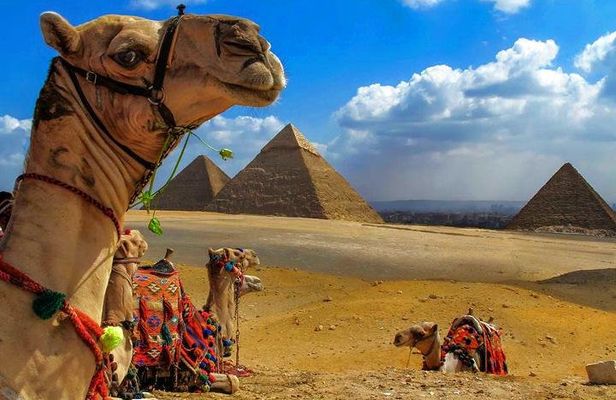 Private 13 Days tour Cairo, Alexandria, Nile Cruise and Hurghada