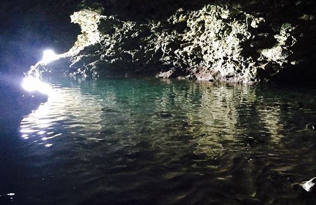 Barbados Animal Flower Cave, Cherry Tree Hill & West Coast Views