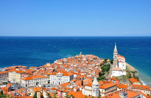 Lipica stud farm and Piran Tour from Ljubljana