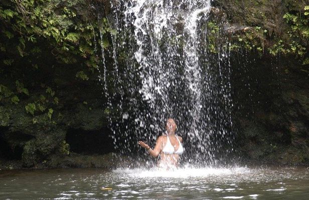 Waterfall & Rainforest Hiking Adventure with Hotel Pickup