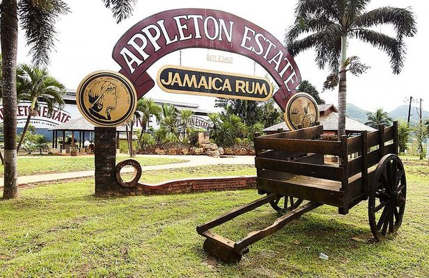 Appleton Estate Rum Tour and Tasting from Runaway Bay
