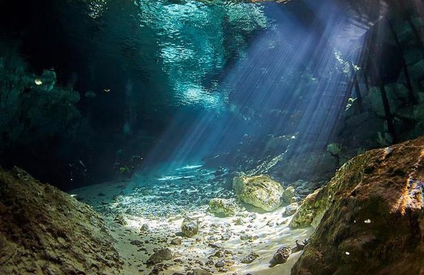 Cenotes diving