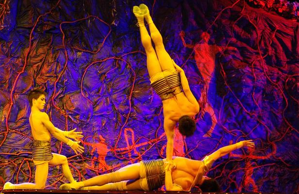 Beijing Roast Duck Dining & Acrobatic Show w/ Transfer