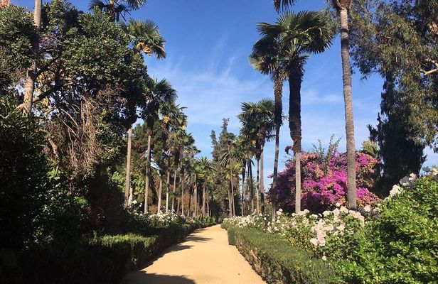 Half Day Trip to Undurraga Vineyard from Santiago - Wine Tasting Included