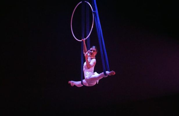 Private Tour: Shanghai Acrobatic Show and Authentic Dim Sum