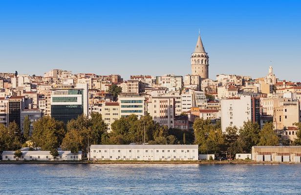 Half Day Istanbul Bosphorus Cruise Tour with Dolmabahce Palace w/Private Guide