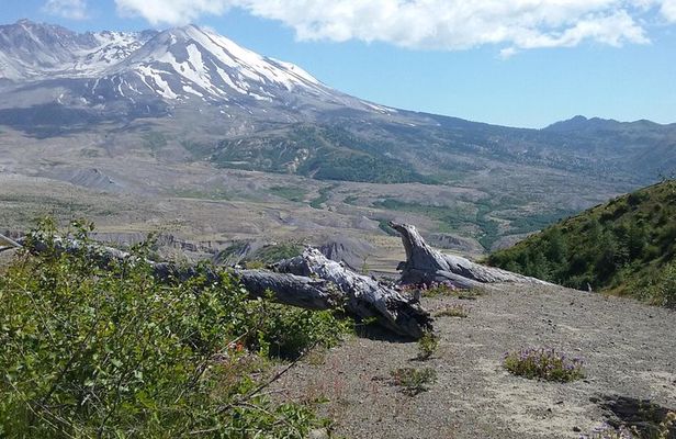Mt St Helens Full Day Trip
