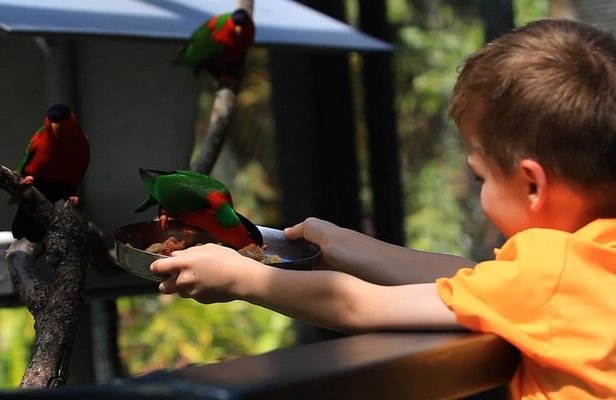 Kids Park Ranger for a Day