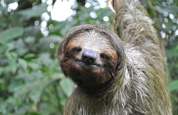 La Fortuna Wildlife Safari Float Tour