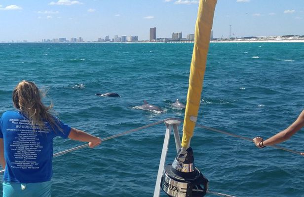 Dolphin Sightseeing Tour on The Footloose Catamaran from Panama City Beach