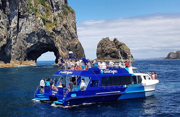 The Bay of Islands Luxury Day Tour From Auckland