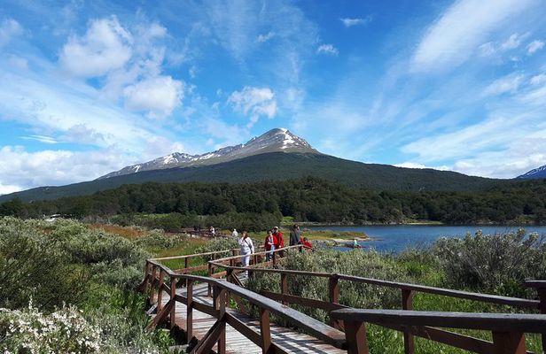 Tierra Del Fuego National Park Tour