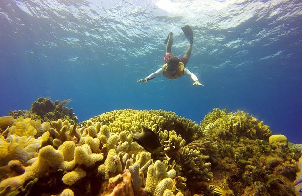 Combo 2 Caribbean Islands: Isla Mujeres, Cozumel with snorkel