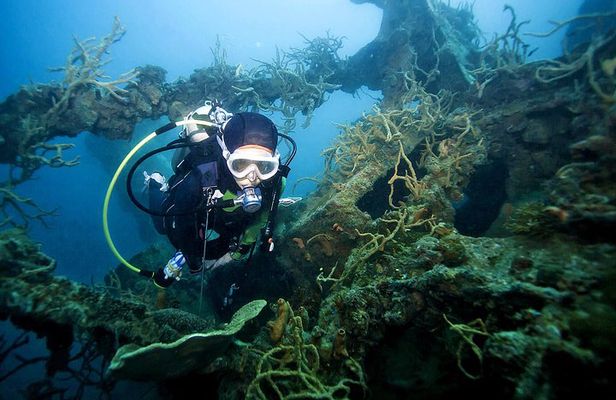 Coron Reefs & Wreck Tour (Shared Tour)