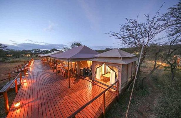 7 Days: Great Migration Mara River Crossing(manyara, Ngorongoro And Serengeti)
