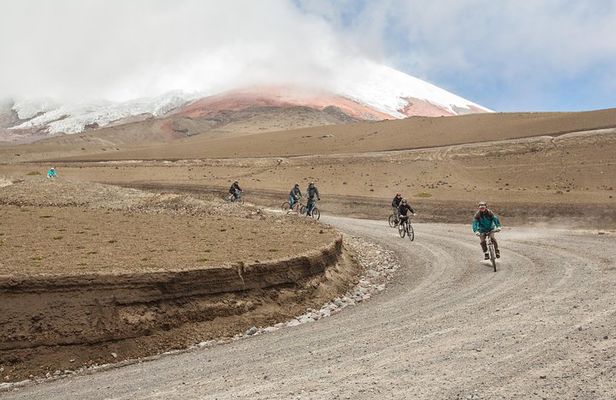 Premium Cotopaxi -Full Day Bike Trip & Quito Tour